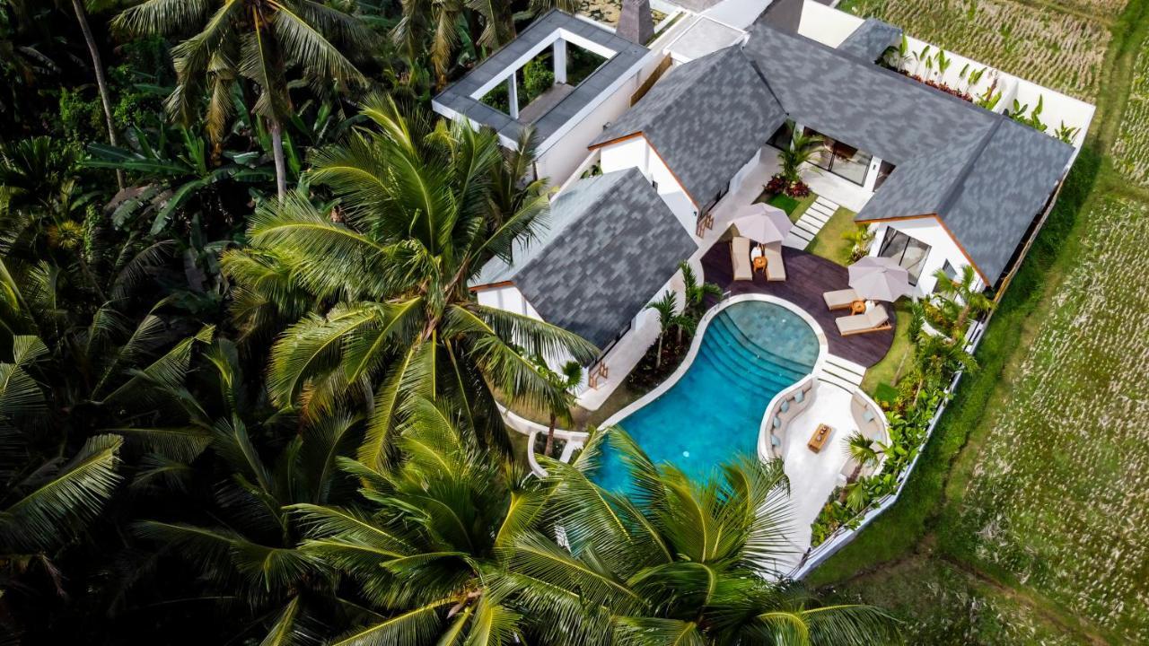 Villa Crystal Lagoon By Balisuperhost Ubud Buitenkant foto